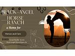 Black-Angel  Horse Ranch a Home for Horses and Cats